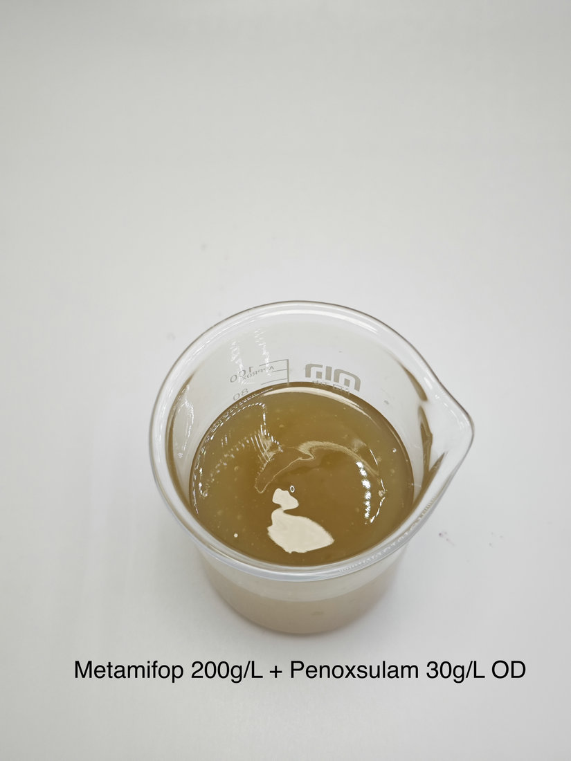 Metamifop 200g/L + Penoxsulam 30g/L OD